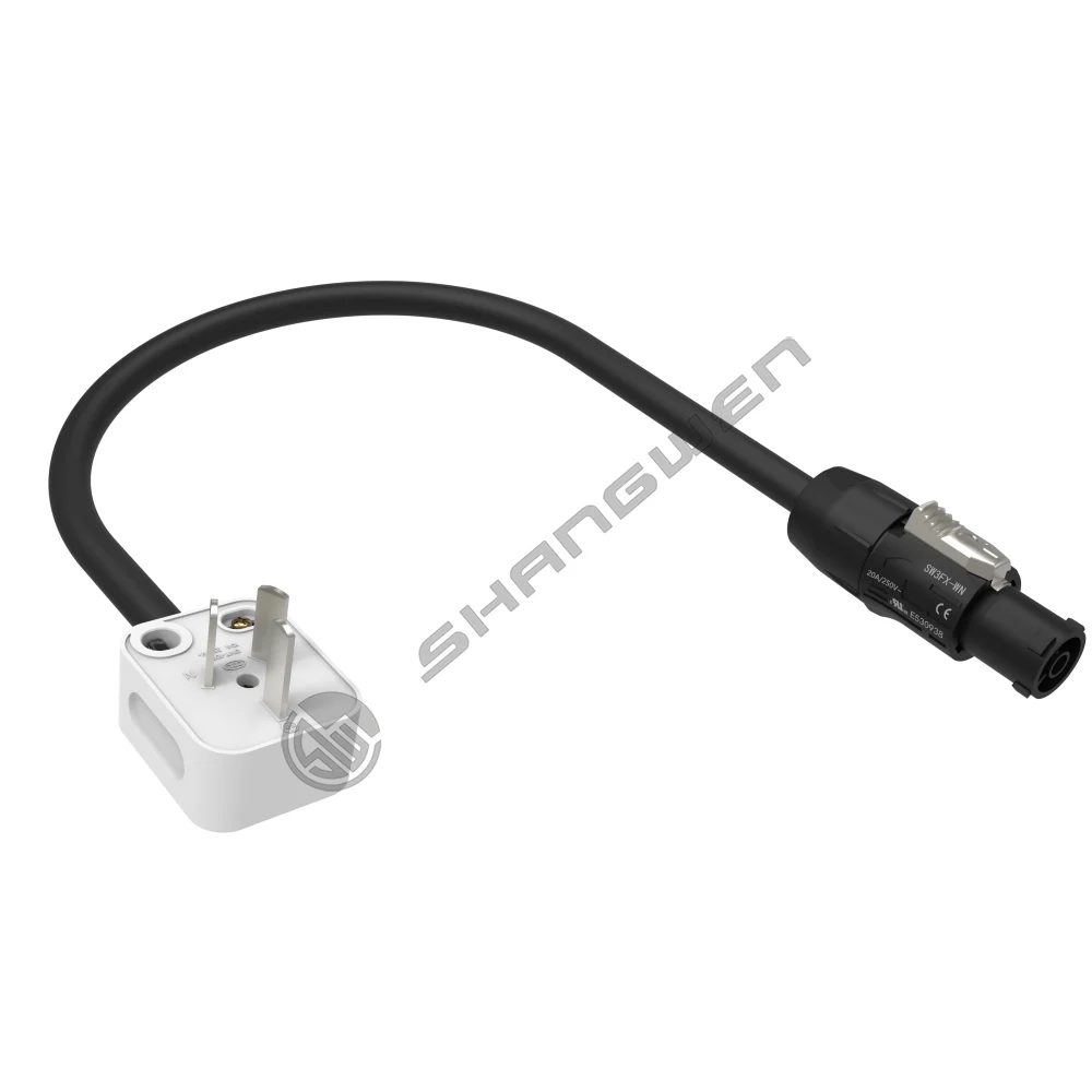 SW3FX-WN to national standard plug